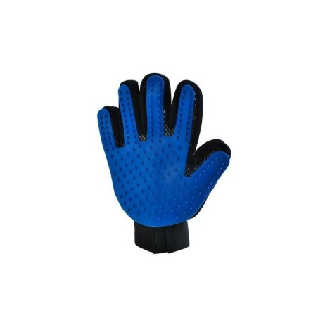 Lemmiklooma kammimise kinnas