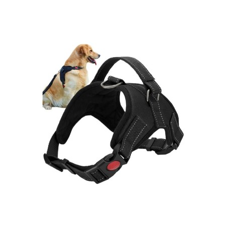 Survevabad koera rakmed traksid M | FreshDesign.ee