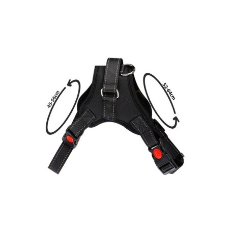 Survevabad koera rakmed traksid M