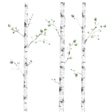 Seinakleebis kased | FreshDesign.ee